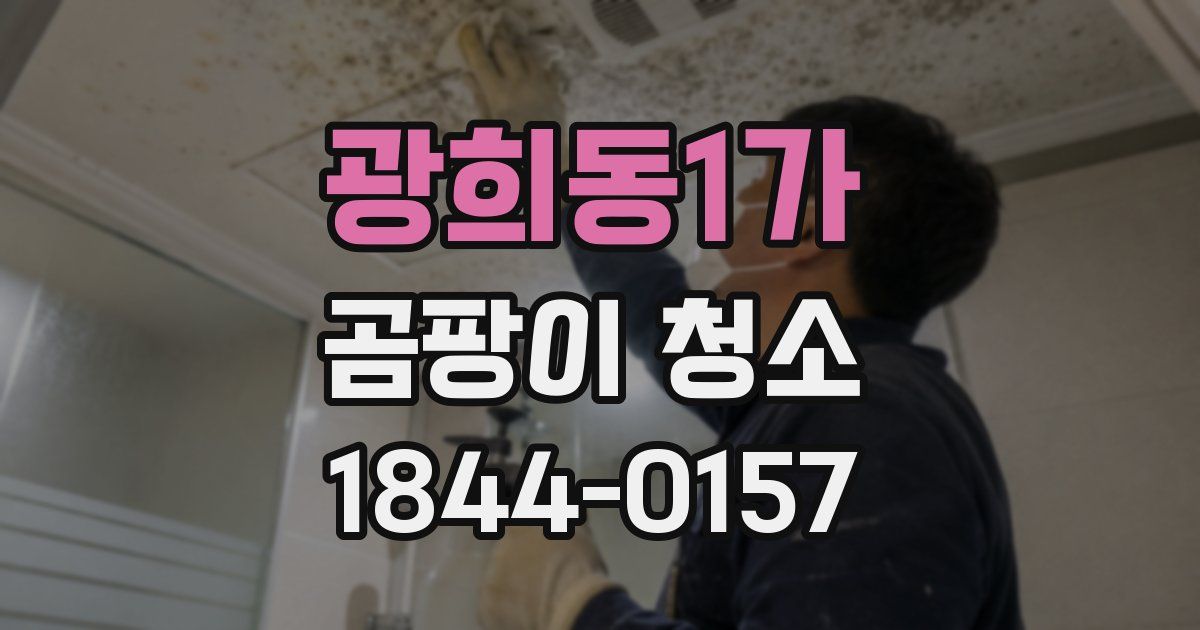 광희동1가 곰팡이 청소