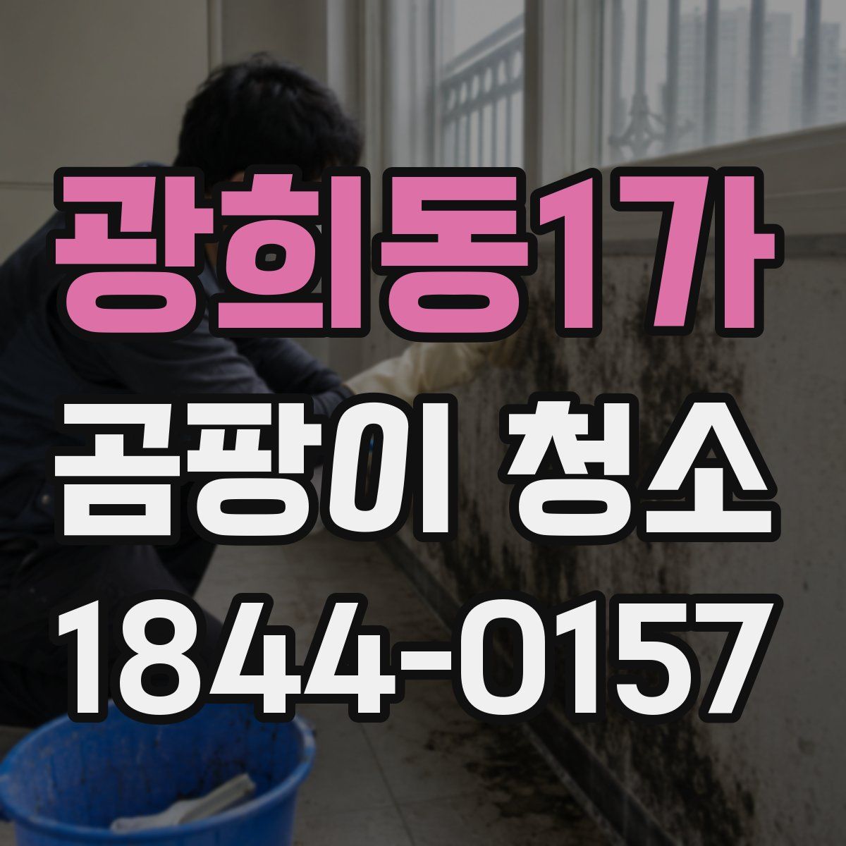 광희동1가 곰팡이 청소