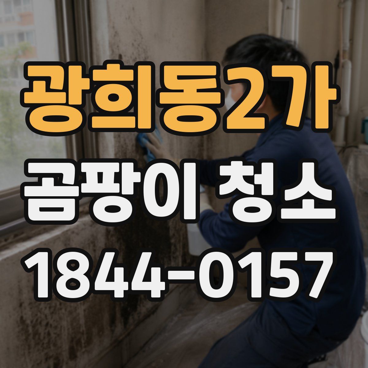 광희동2가 곰팡이 청소
