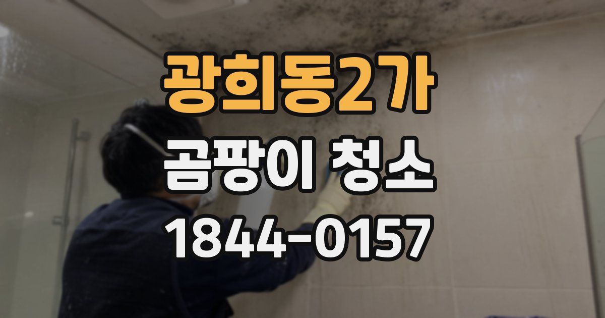 광희동2가 곰팡이 청소
