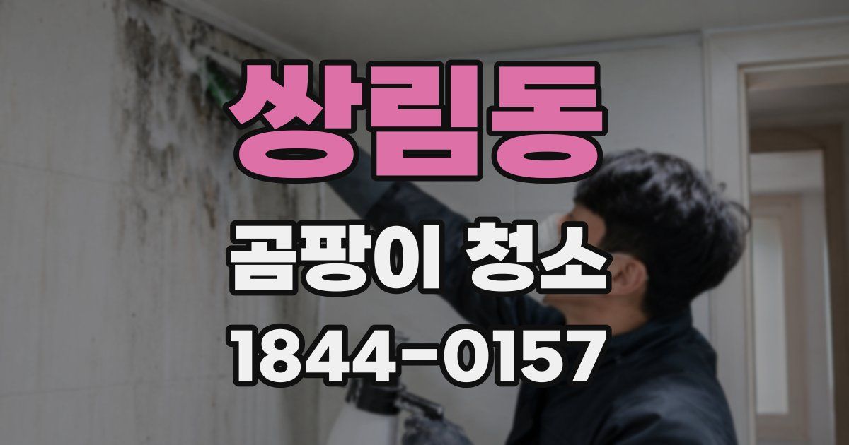 쌍림동 곰팡이 청소