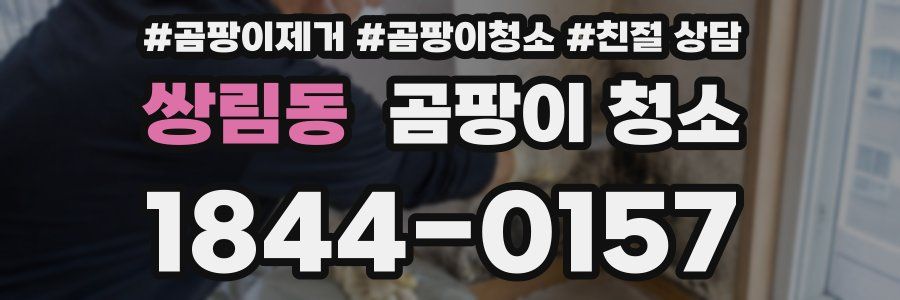 쌍림동 곰팡이 청소
