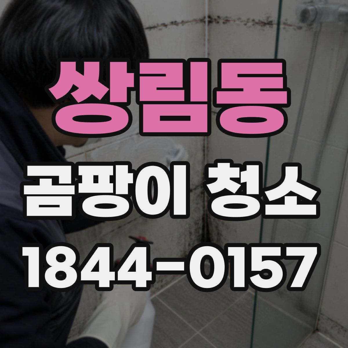 쌍림동 곰팡이 청소