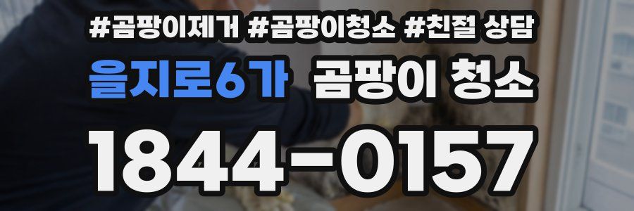 을지로6가 곰팡이 청소