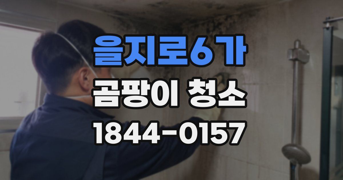 을지로6가 곰팡이 청소