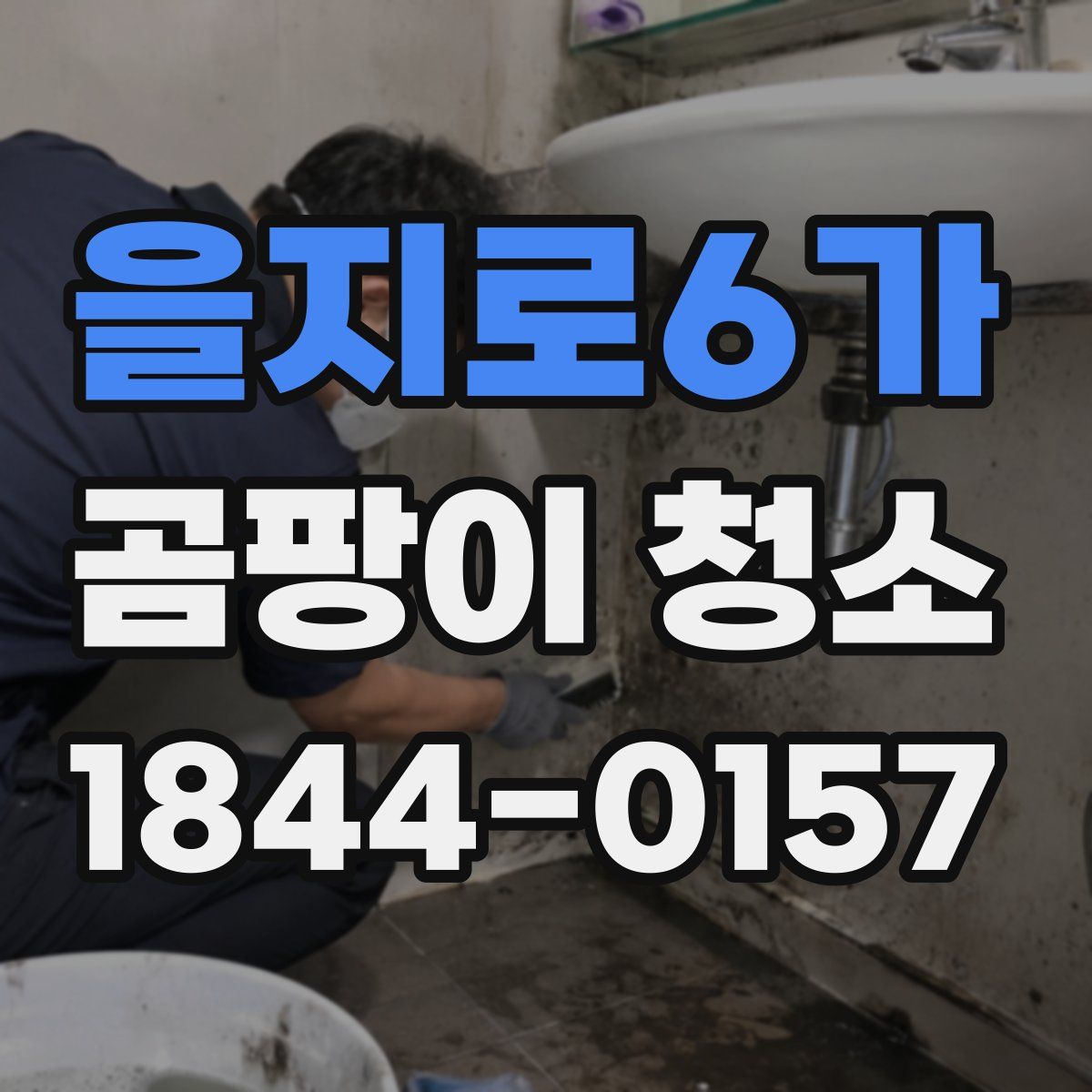 을지로6가 곰팡이 청소