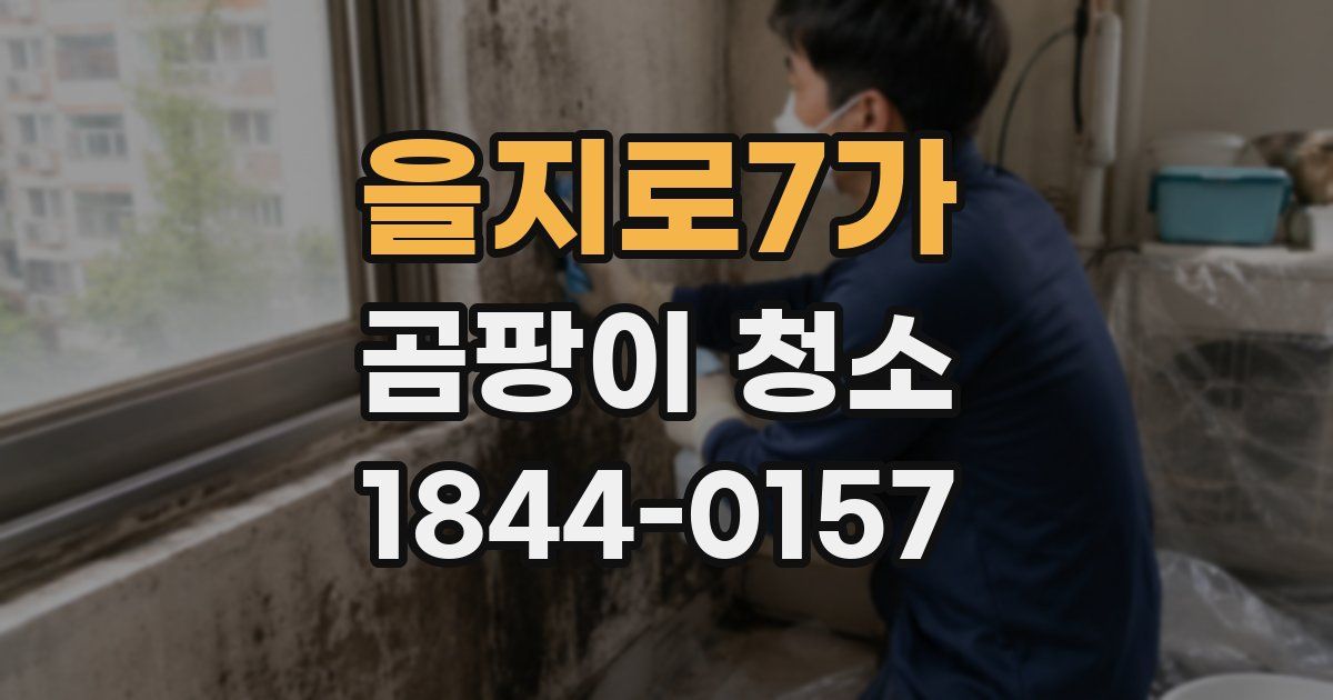 을지로7가 곰팡이 청소