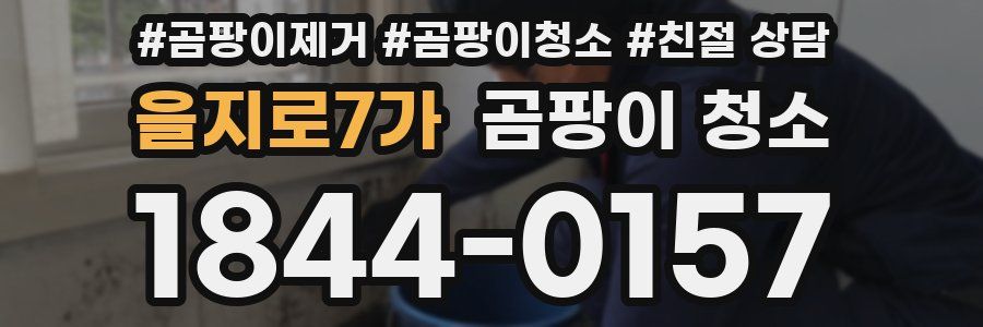 을지로7가 곰팡이 청소