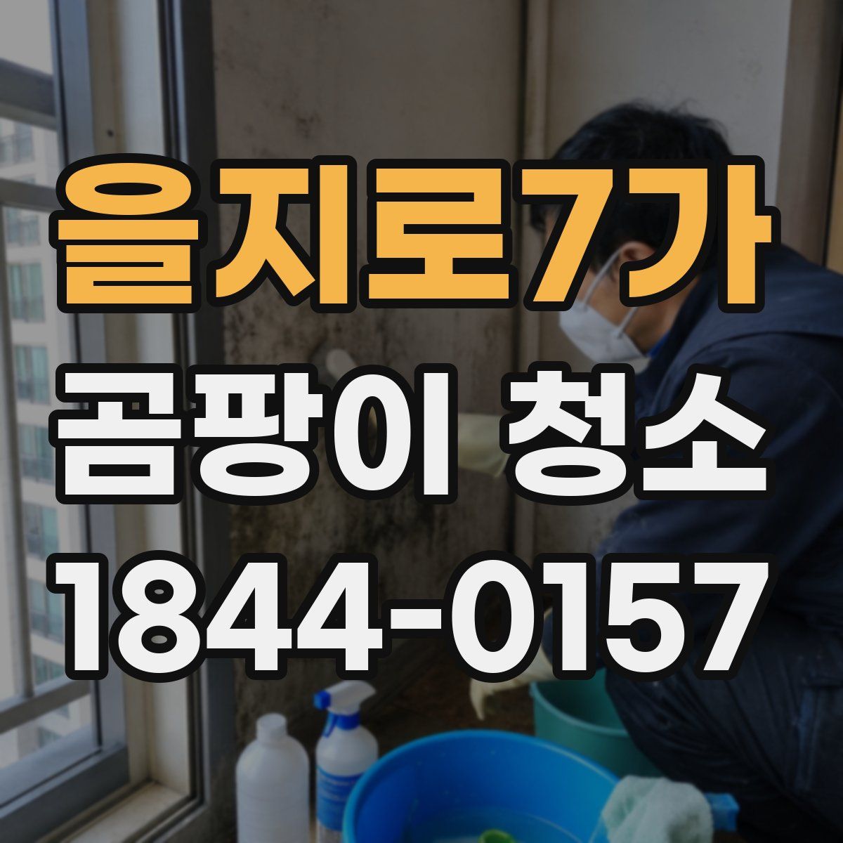 을지로7가 곰팡이 청소