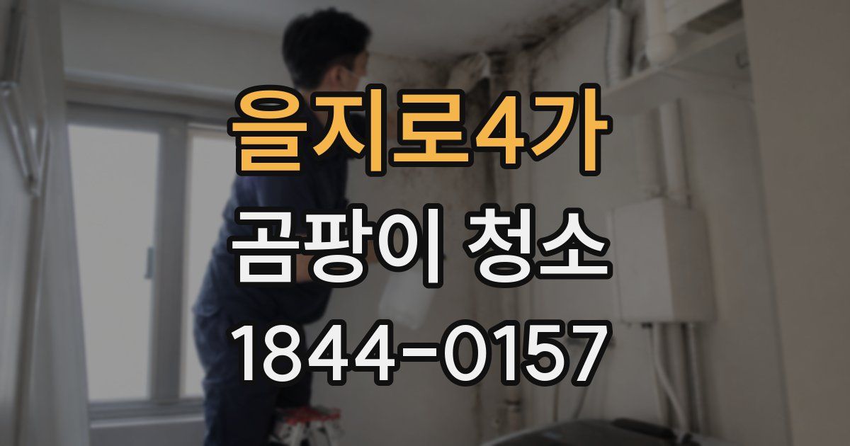 을지로4가 곰팡이 청소
