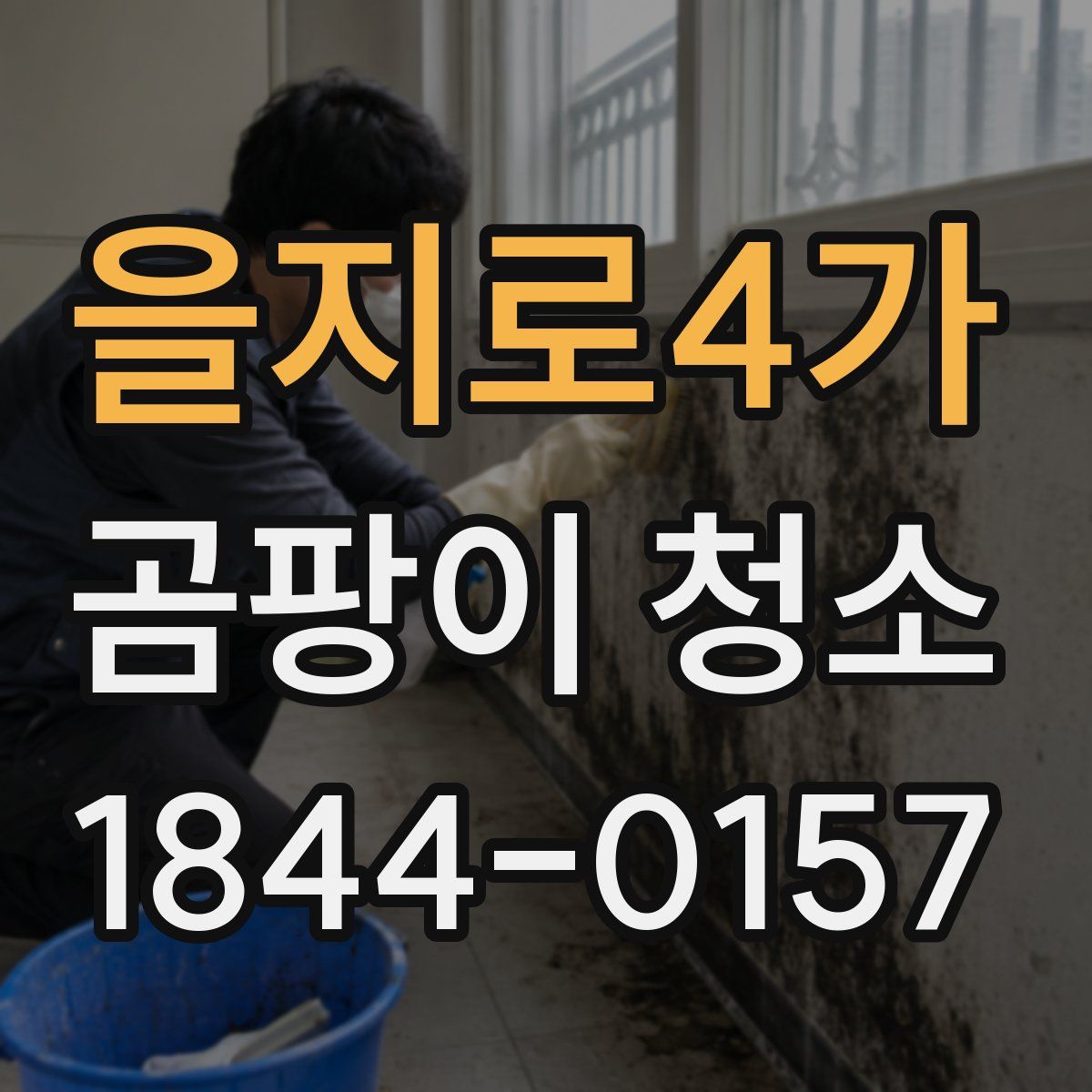 을지로4가 곰팡이 청소