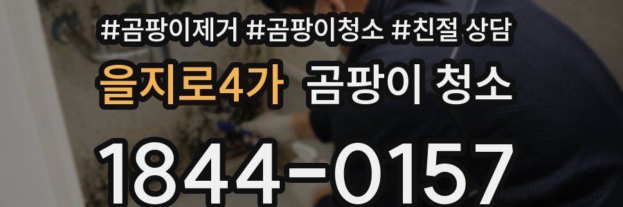 을지로4가 곰팡이 청소