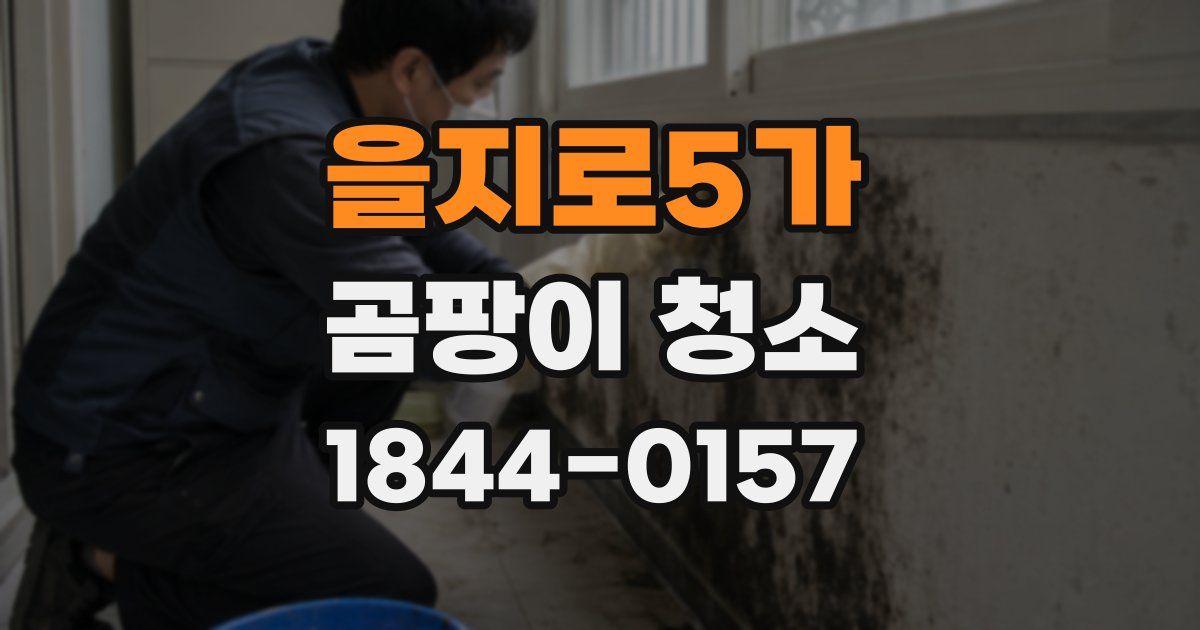 을지로5가 곰팡이 청소