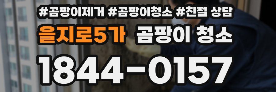 을지로5가 곰팡이 청소