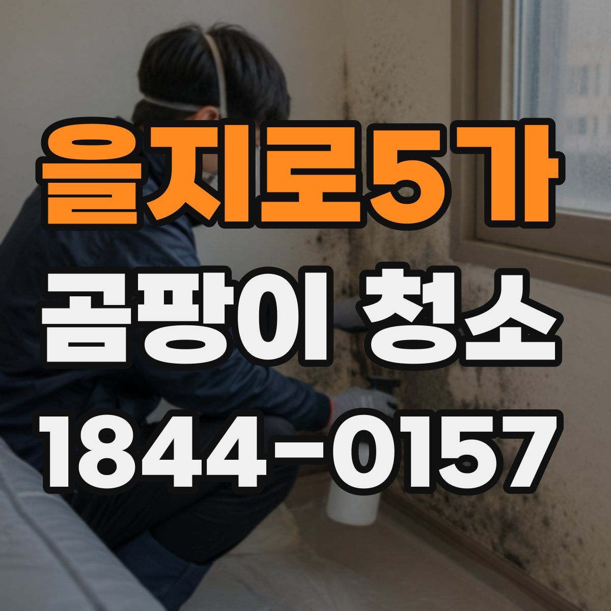 을지로5가 곰팡이 청소