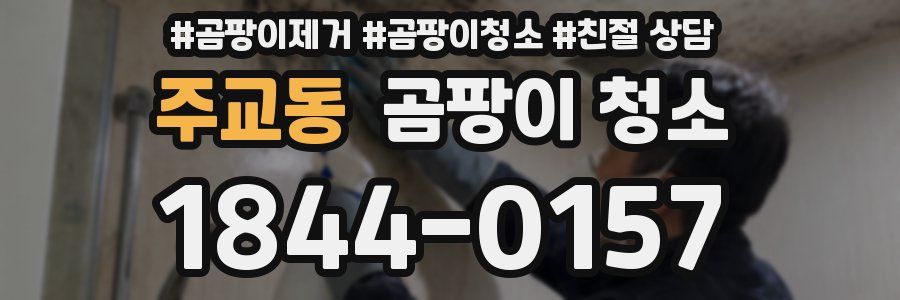 주교동 곰팡이 청소