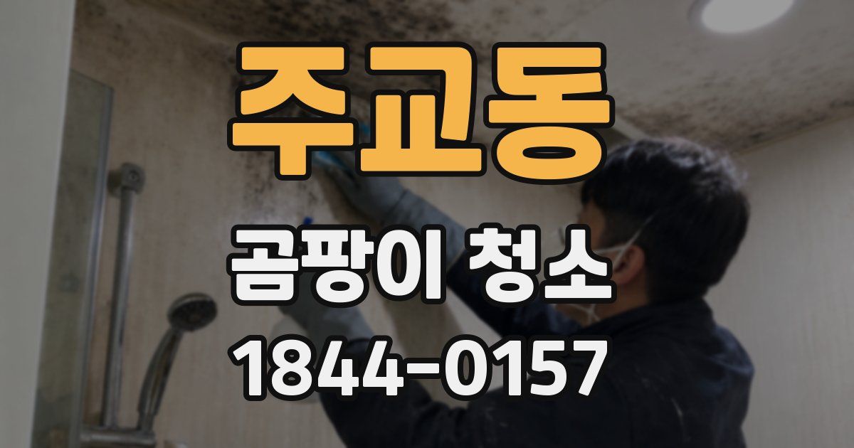 주교동 곰팡이 청소