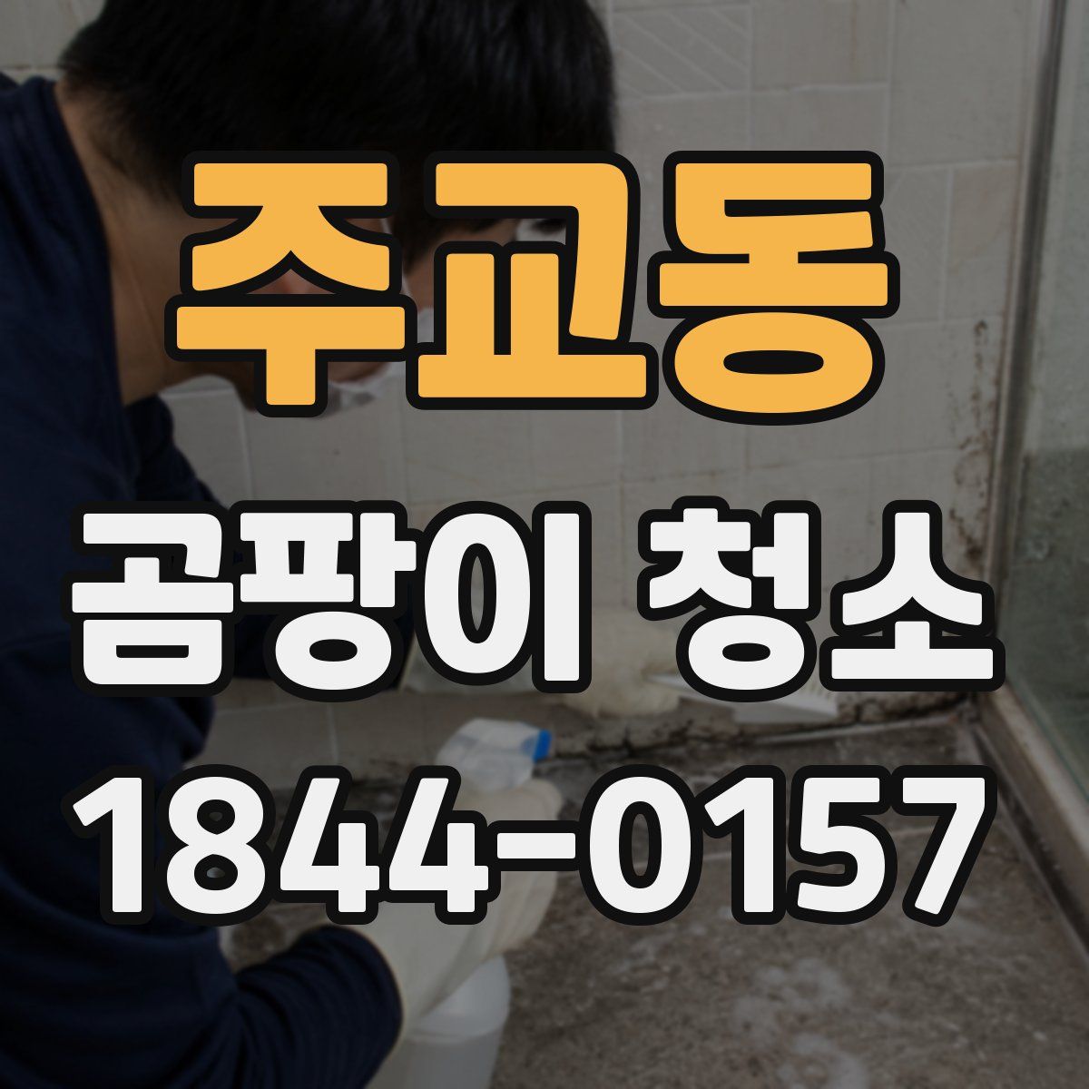 주교동 곰팡이 청소
