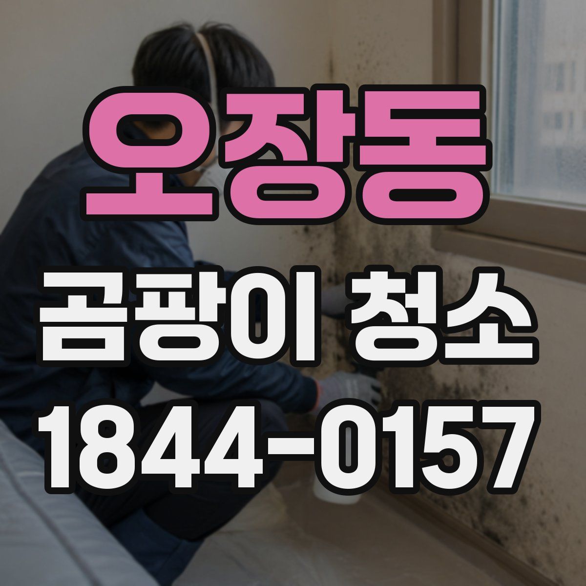 오장동 곰팡이 청소