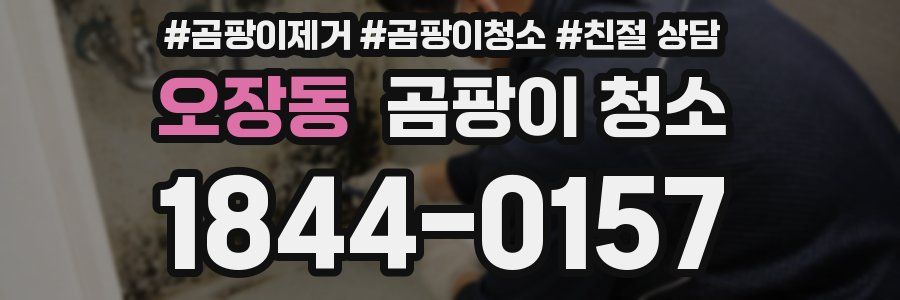 오장동 곰팡이 청소