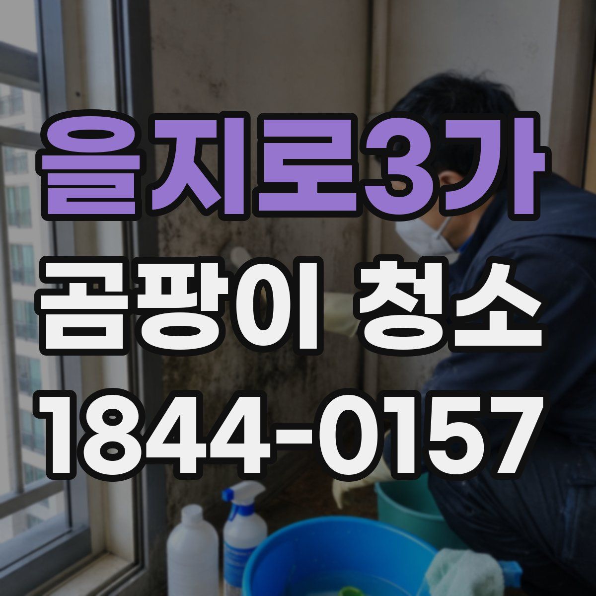 을지로3가 곰팡이 청소