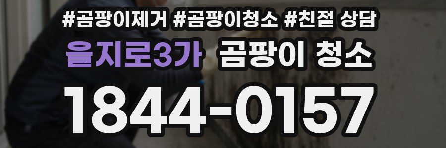 을지로3가 곰팡이 청소