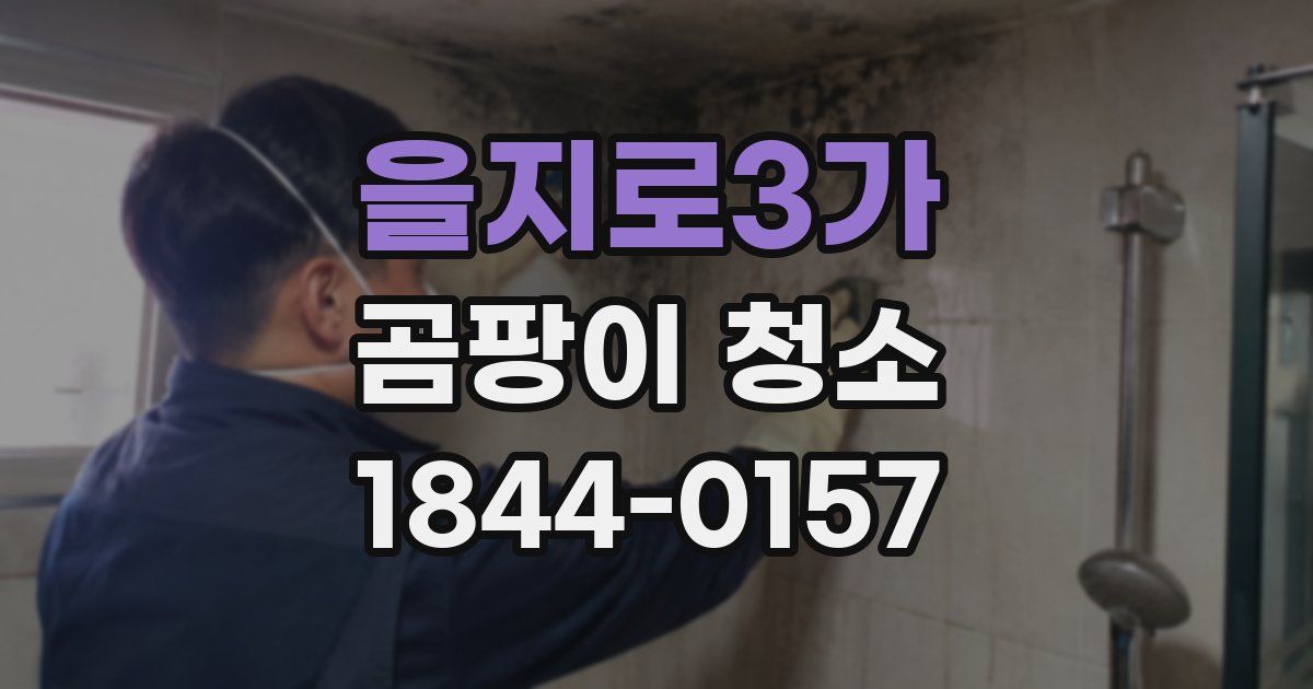 을지로3가 곰팡이 청소