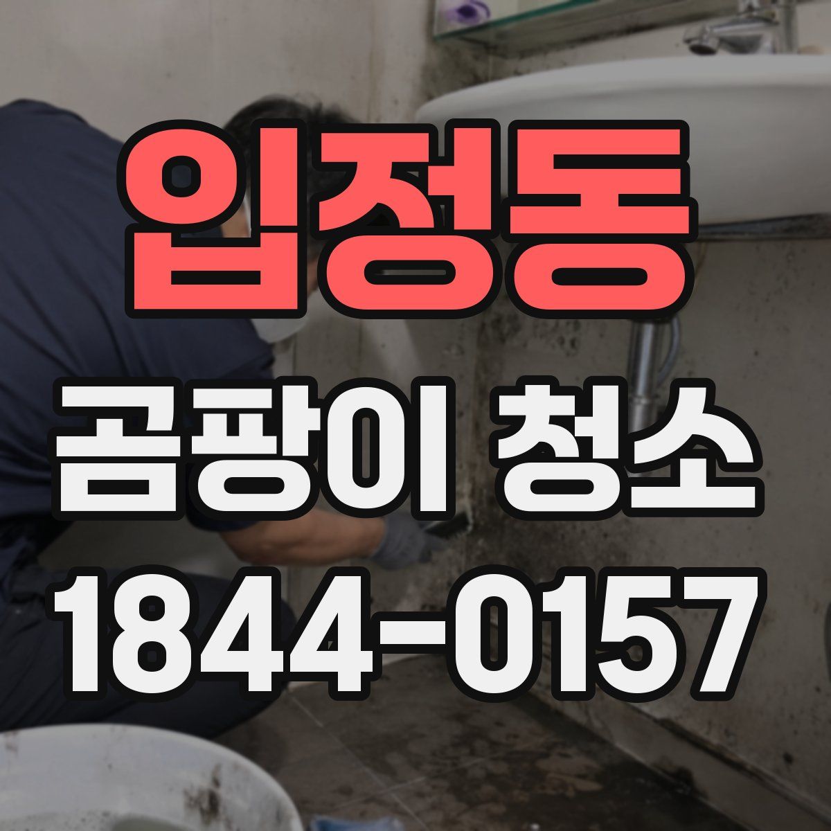 입정동 곰팡이 청소
