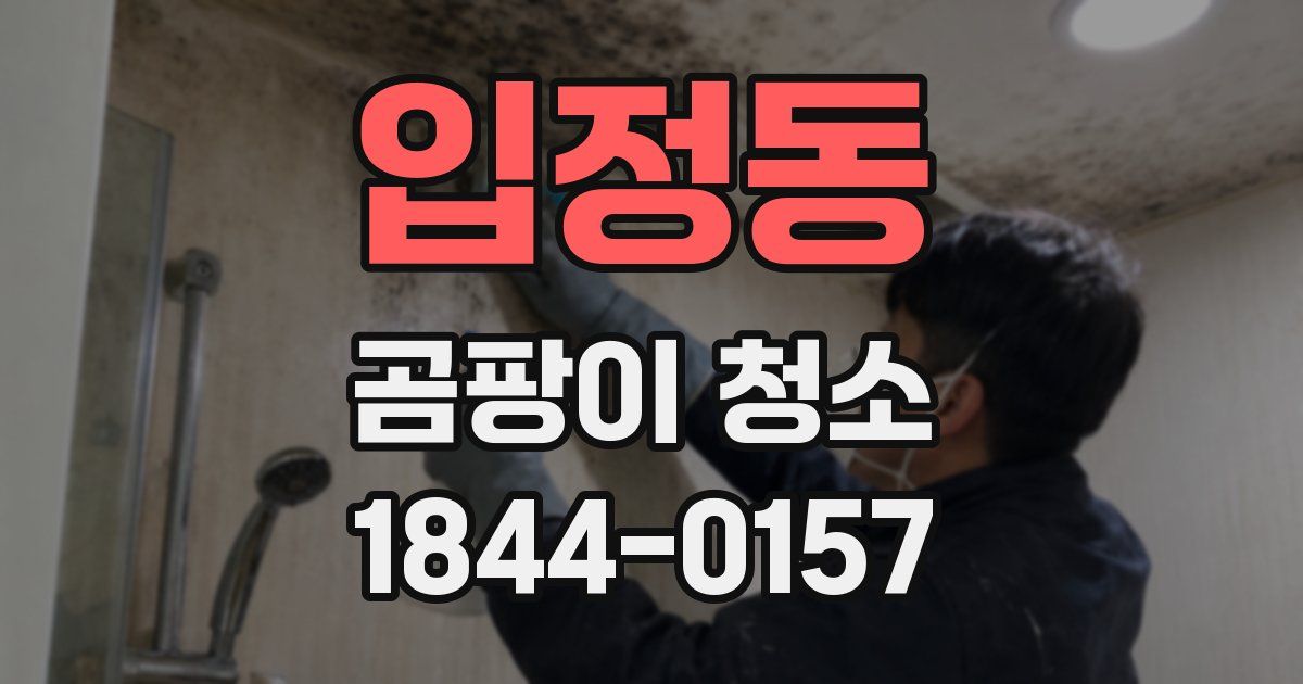 입정동 곰팡이 청소