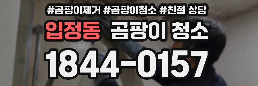 입정동 곰팡이 청소