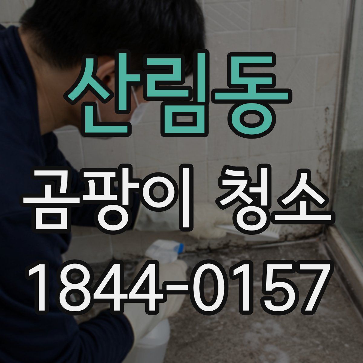 산림동 곰팡이 청소