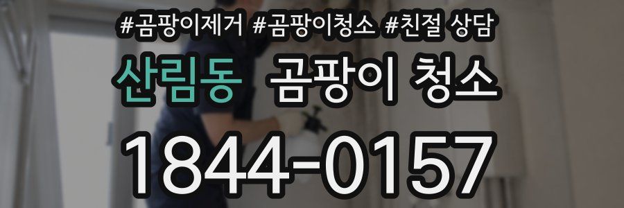 산림동 곰팡이 청소