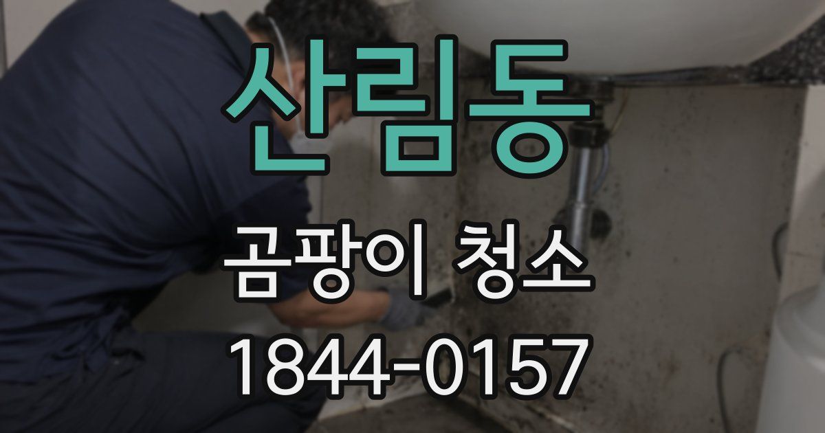 산림동 곰팡이 청소