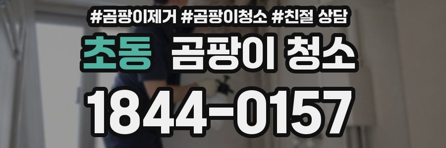 초동 곰팡이 청소