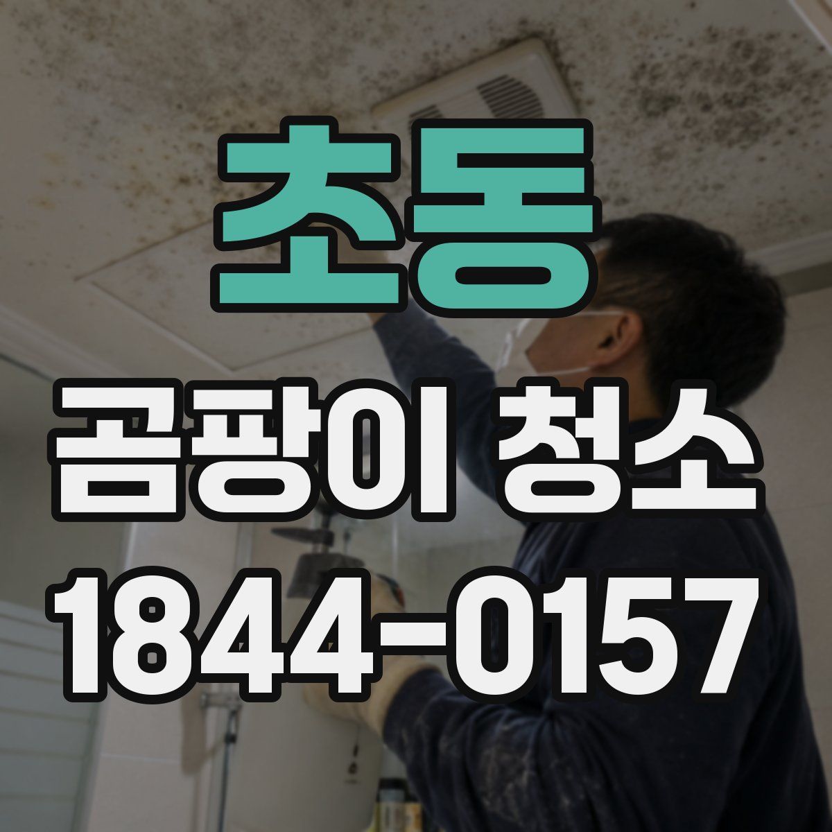 초동 곰팡이 청소