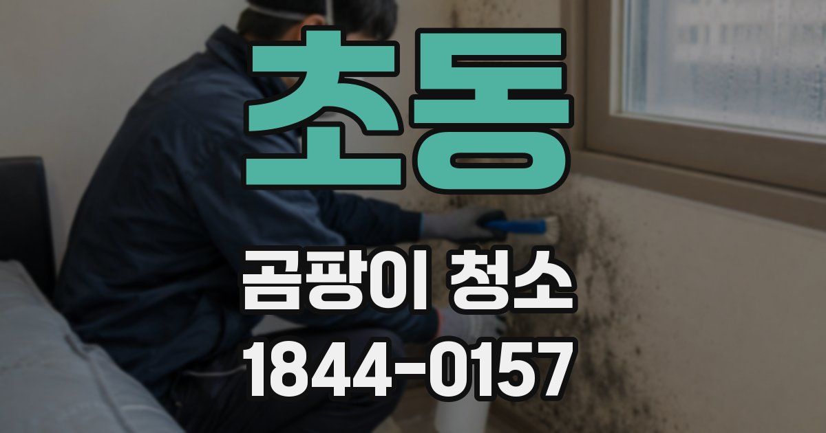 초동 곰팡이 청소