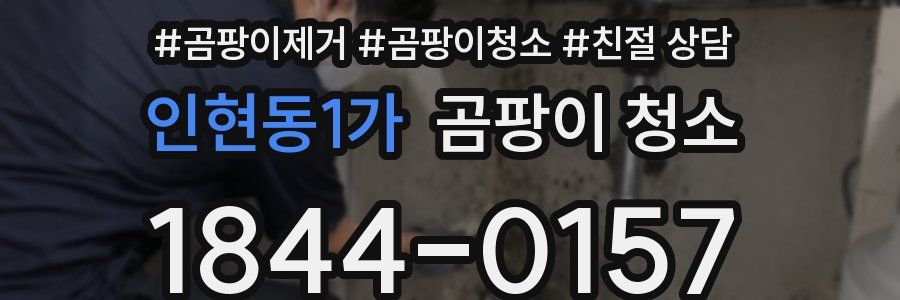 인현동1가 곰팡이 청소
