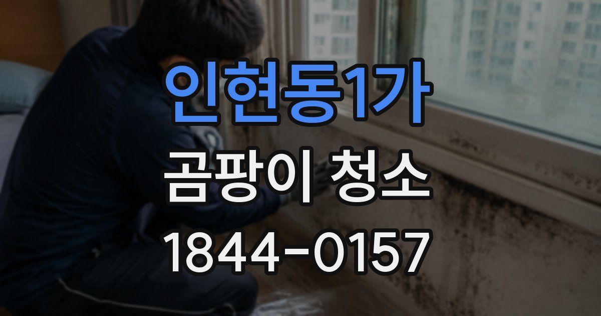 인현동1가 곰팡이 청소