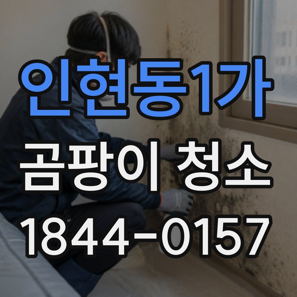 인현동1가 곰팡이 청소