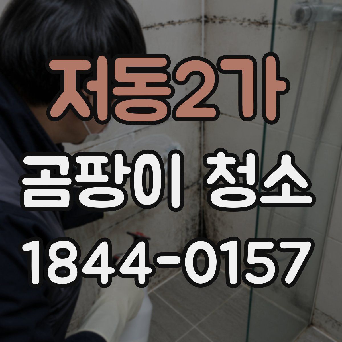 저동2가 곰팡이 청소