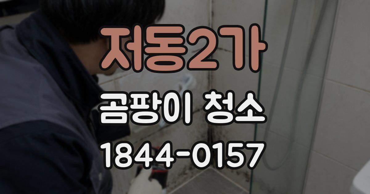 저동2가 곰팡이 청소