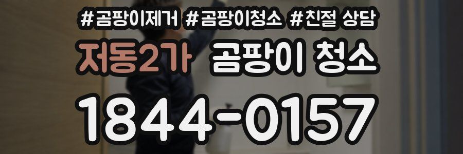저동2가 곰팡이 청소