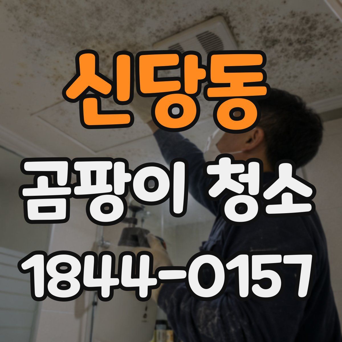 신당동 곰팡이 청소