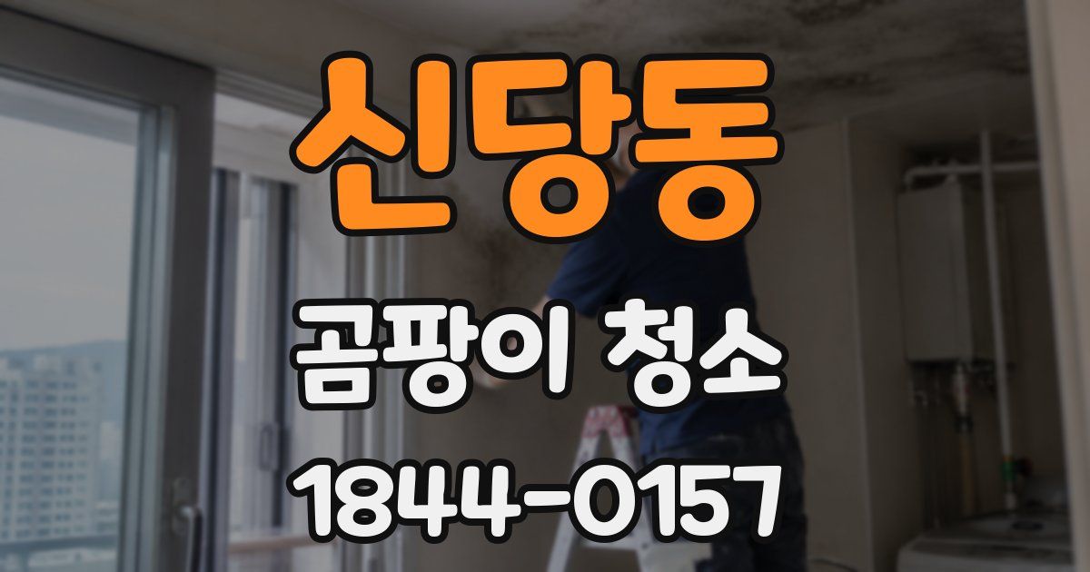 신당동 곰팡이 청소