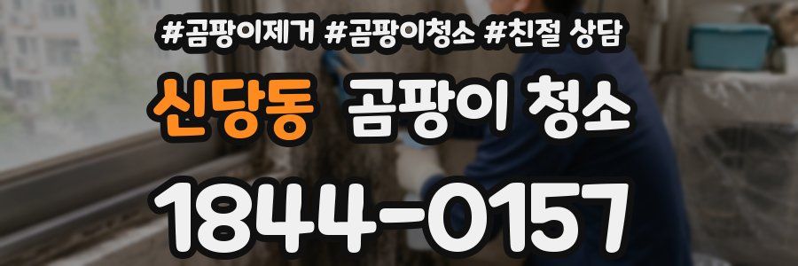 신당동 곰팡이 청소