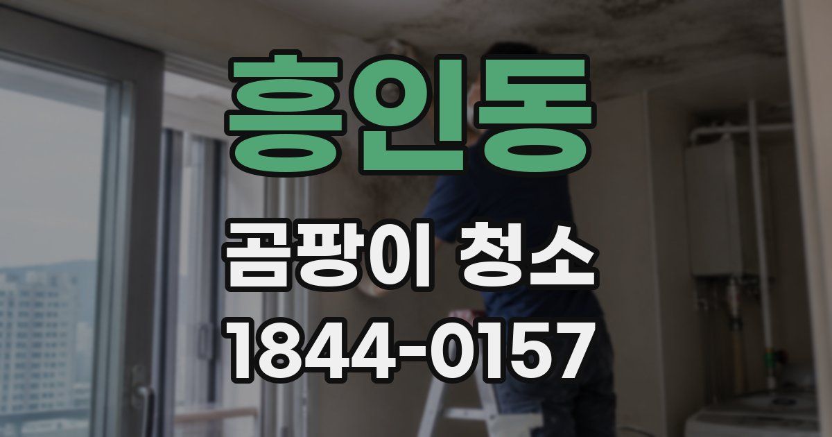 흥인동 곰팡이 청소