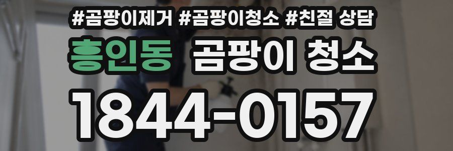 흥인동 곰팡이 청소