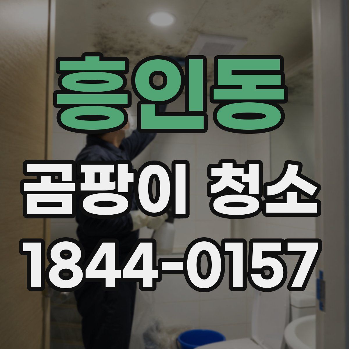 흥인동 곰팡이 청소