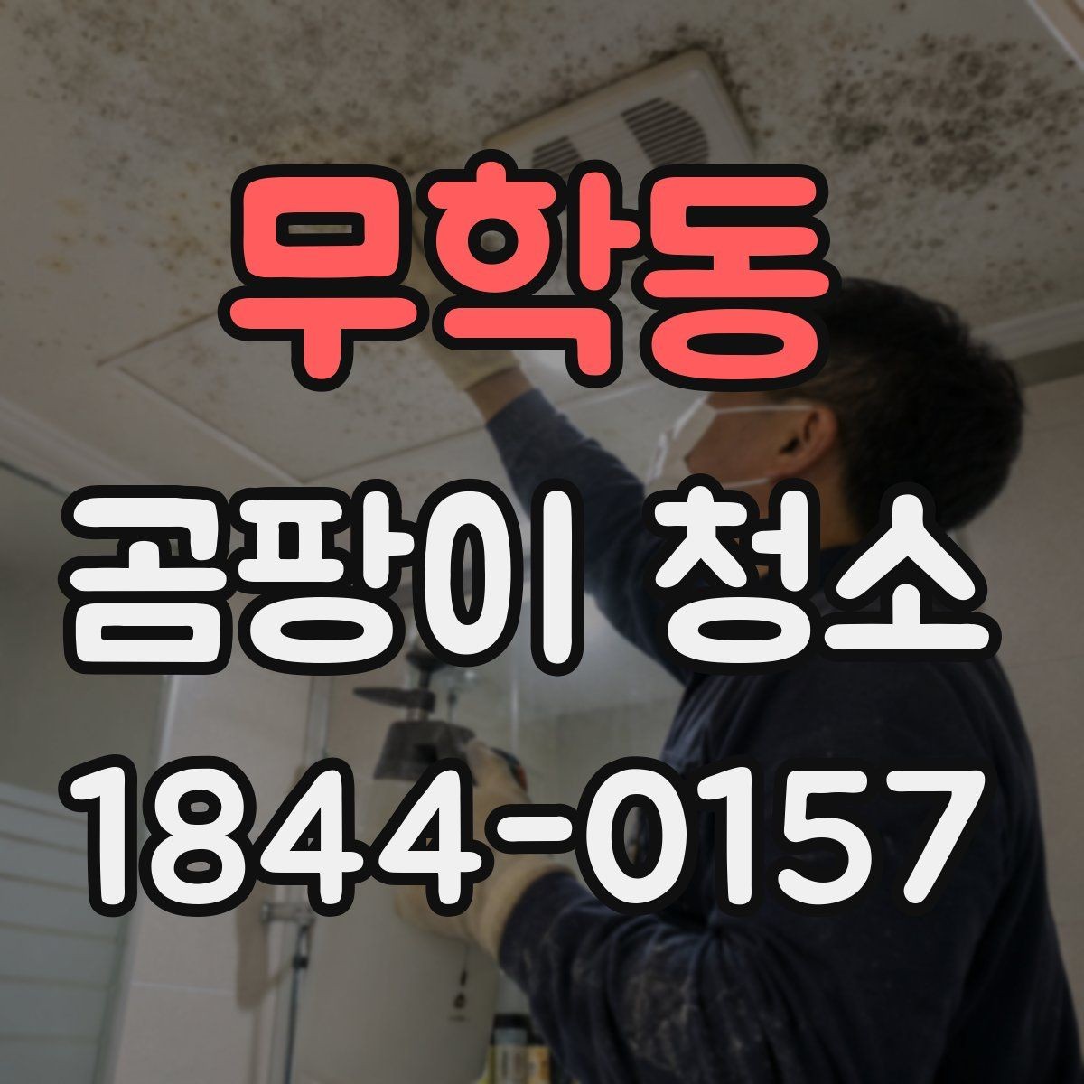 무학동 곰팡이 청소 전후 사진 비교로 확인할 점