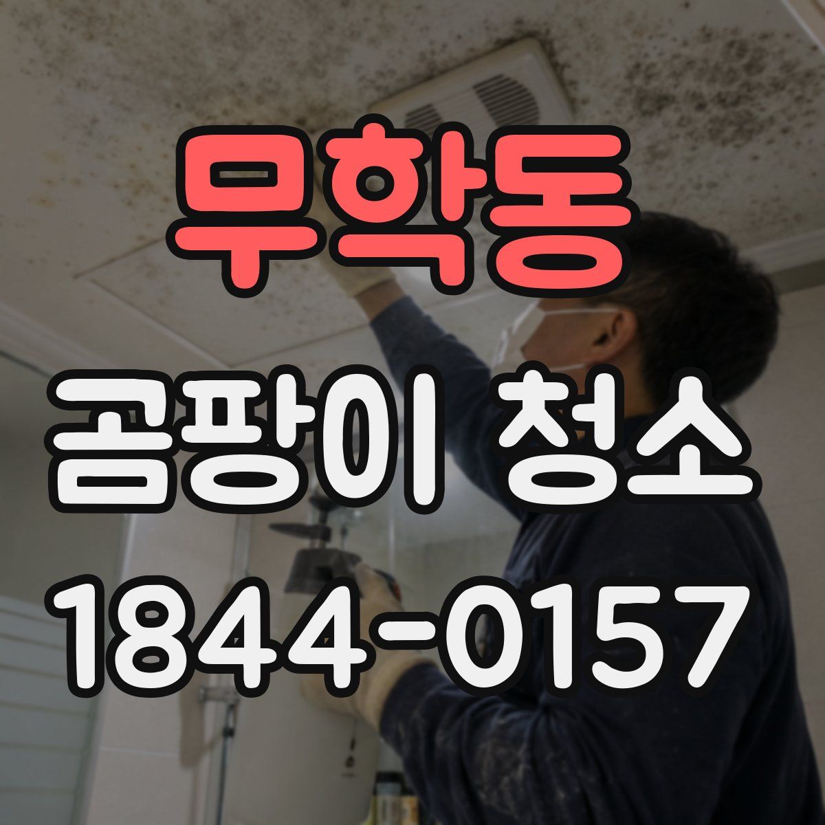 무학동 곰팡이 청소